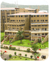 D.Y. Patil University