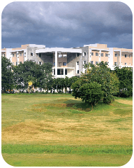 Jain University